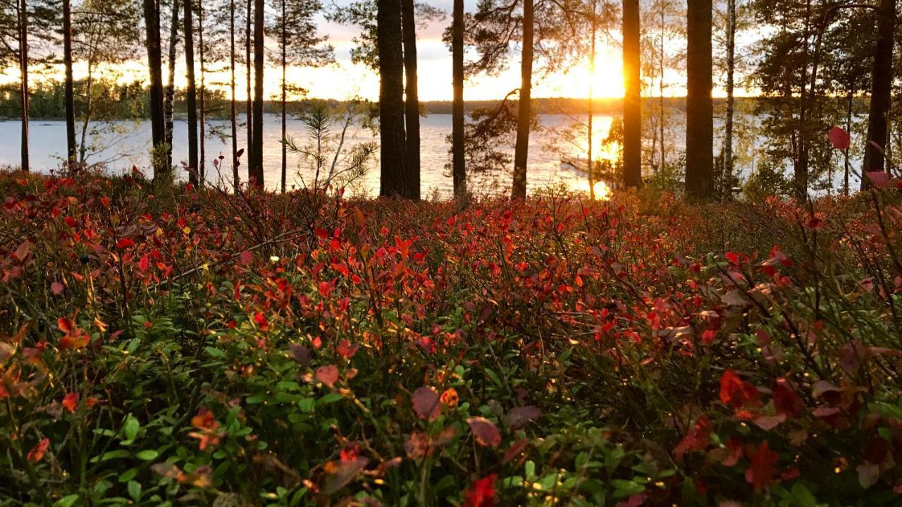 Koskenselaen Lomakylae Puumala Exterior foto